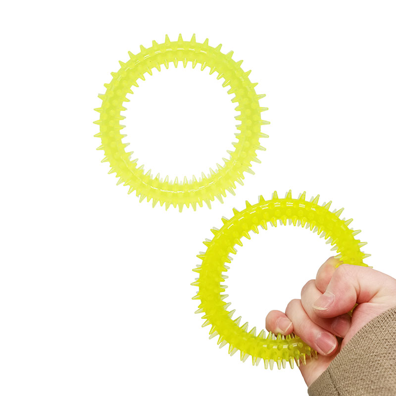 Round Ring Toy 